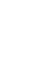 Chicago Immigration Lawyer
